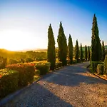 Podere Il Girasole 아파트 몬테카티니발디세시다
